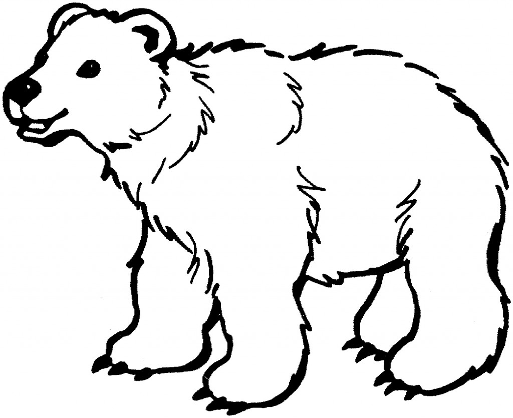 Bear Coloring Pages for Kids – Animal Place