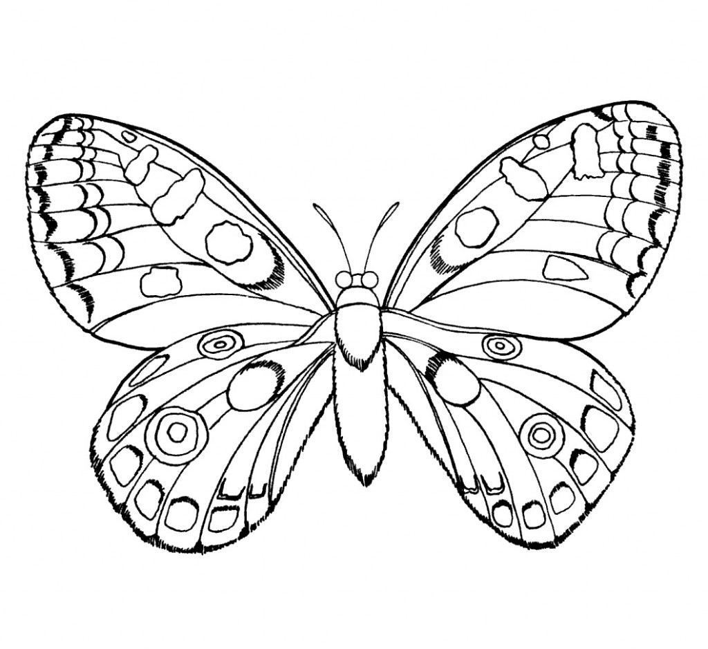Butterfly Coloring Pages Printable – Animal Place