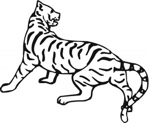 coloring page of tiger image  animal place