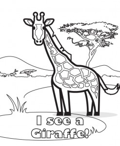 coloring pages of giraffe pictures  animal place