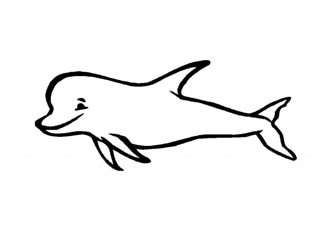 dolphin coloring pages