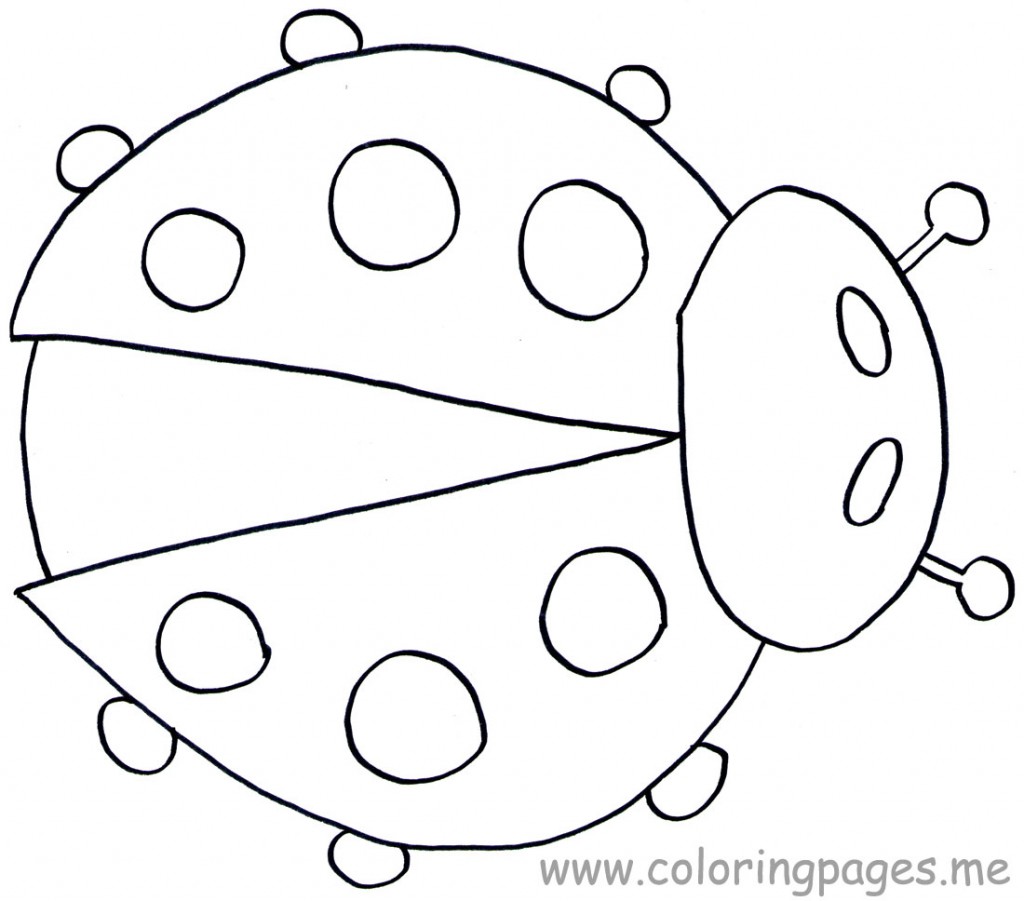 Ladybug Coloring Pages – Animal Place