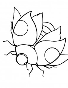 ladybug coloring page picture  animal place