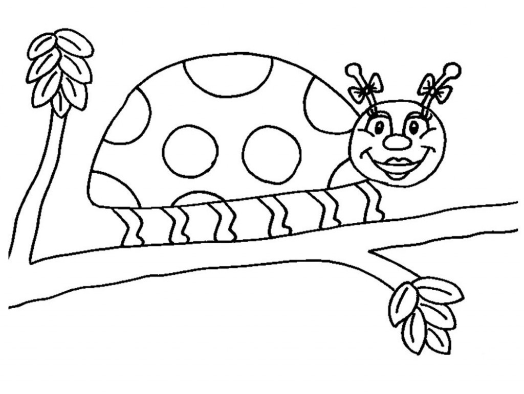 Ladybug Coloring Pages Photo – Animal Place