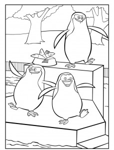 Penguin Coloring Page Image – Animal Place