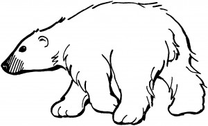 polar bear coloring page  animal place