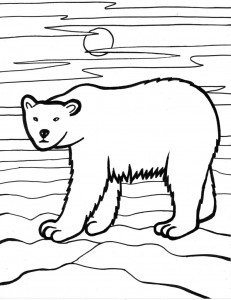 Polar Bear Coloring Page Images – Animal Place
