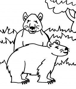 Polar Bear Coloring Page Pictures – Animal Place