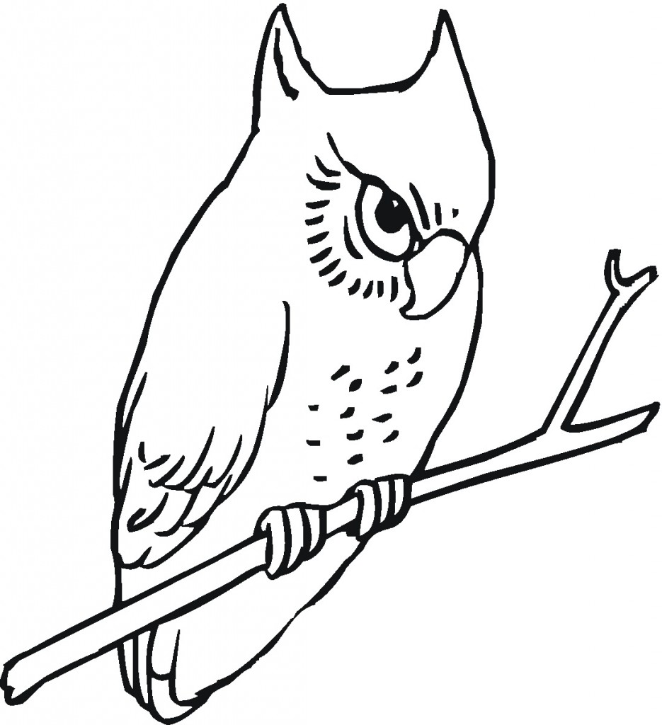 Printable Owl Coloring Pages – Animal Place