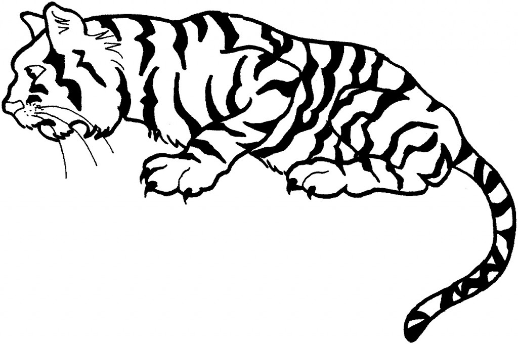 Tiger Coloring Page for Kids – Animal Place