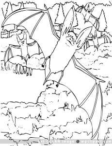 bat coloring page for kids  animal place