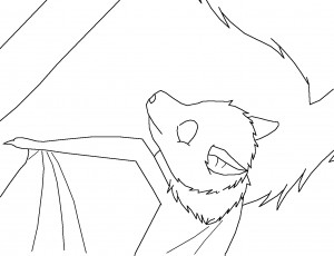 bat coloring pages photos  animal place