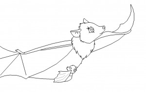 Bat Coloring Pages Pictures – Animal Place