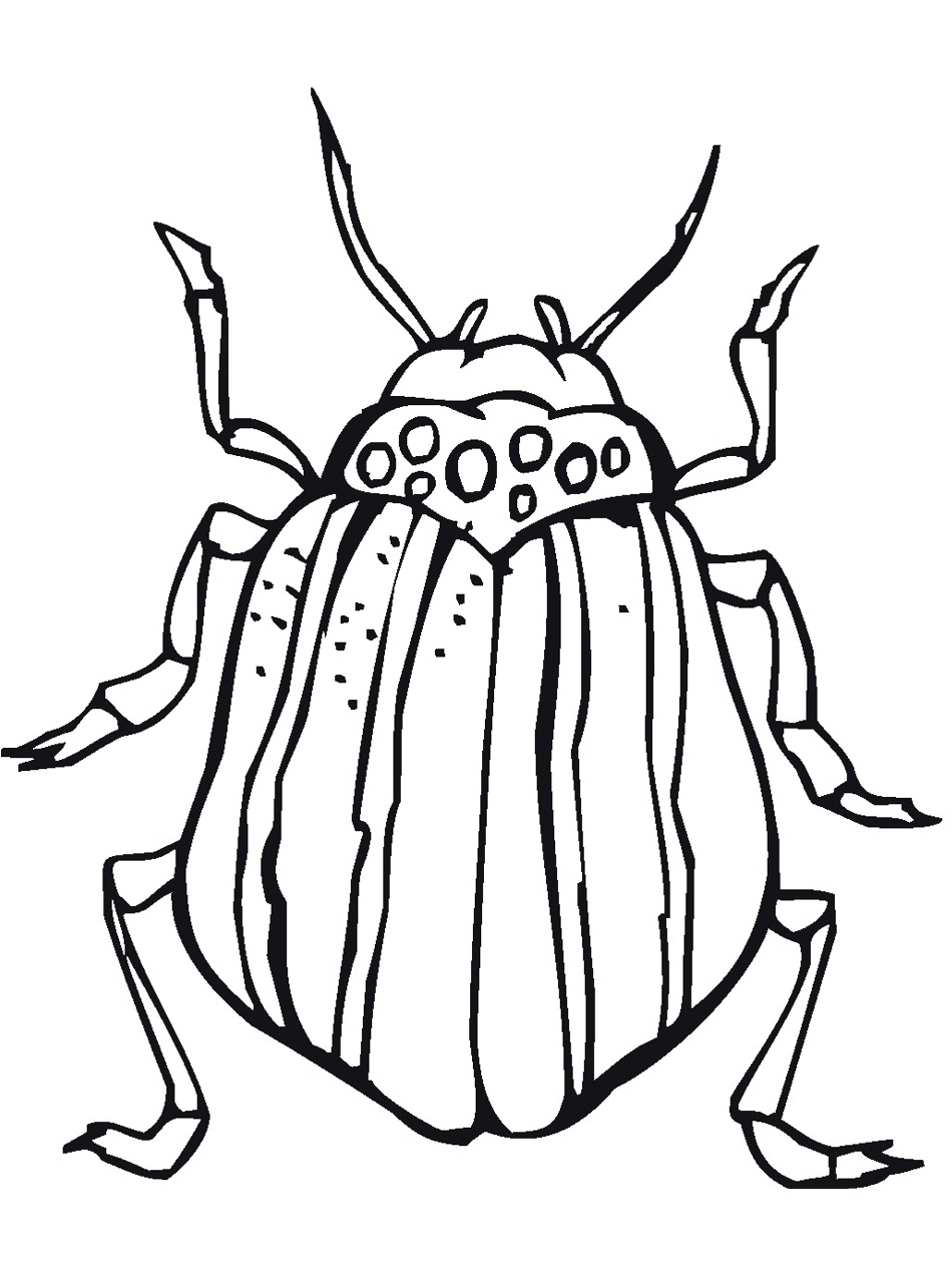 printable-insect-coloring-pages