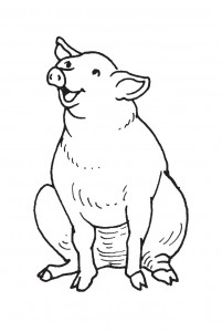 Coloring Page Pig Pictures – Animal Place