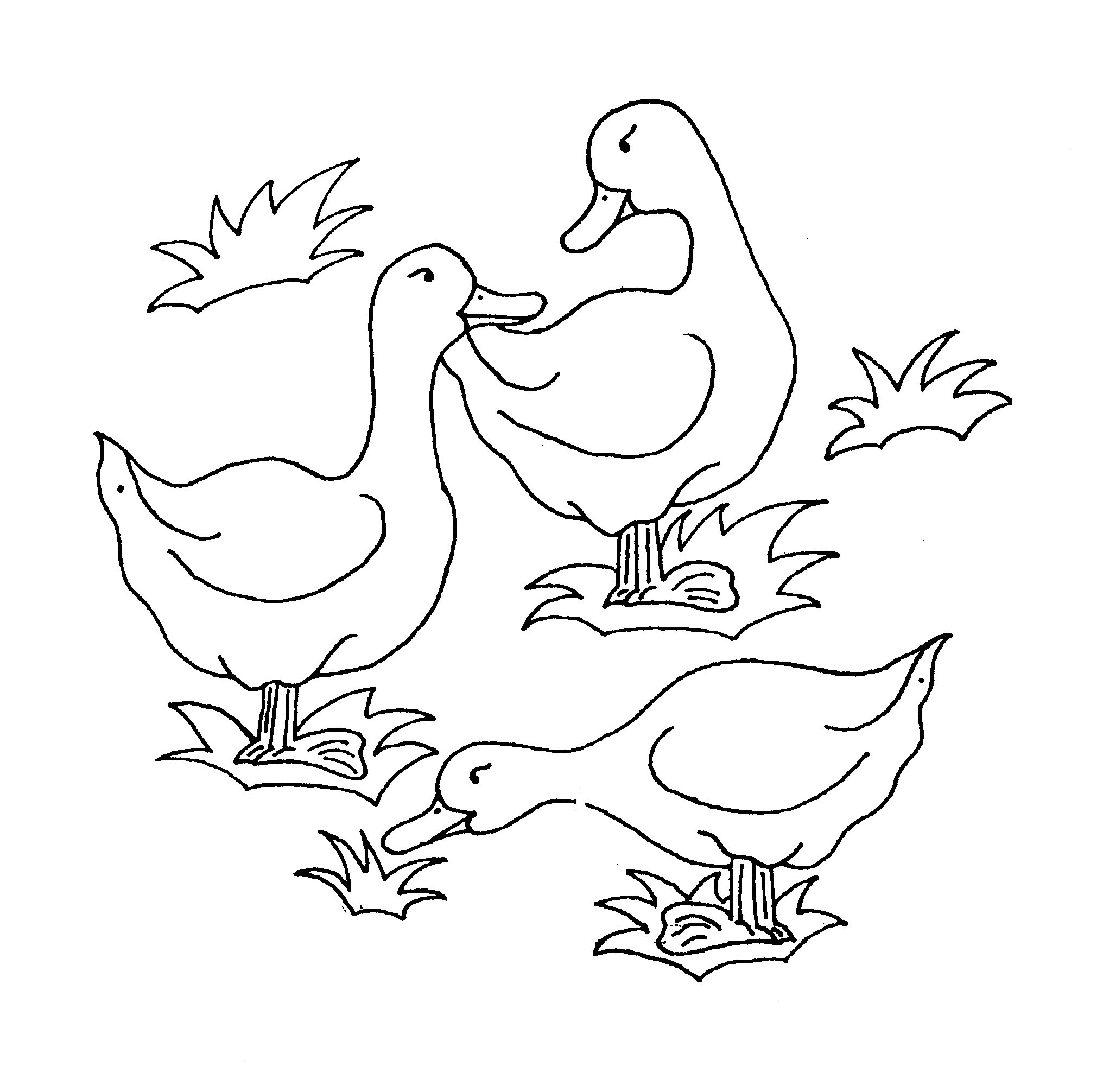 Free Printable Duck Coloring Pages For Kids - Animal Place