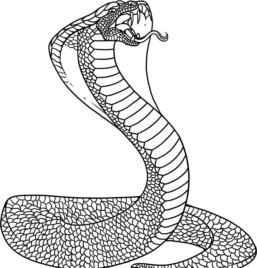 Snake Coloring Page Printable