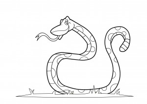 coloring page of snake images  animal place