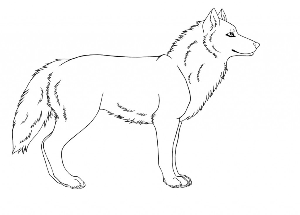 Coloring Page of Wolf Photos – Animal Place