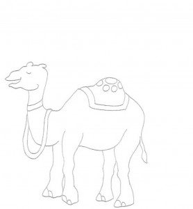 coloring pages camel  animal place