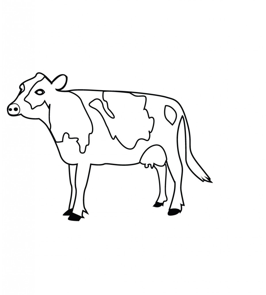 Coloring Pages Cow Images – Animal Place