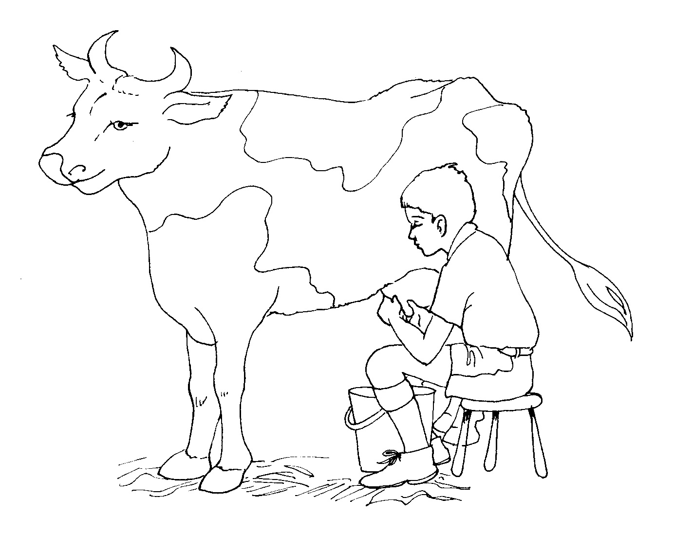 Раскраска корова с молоком