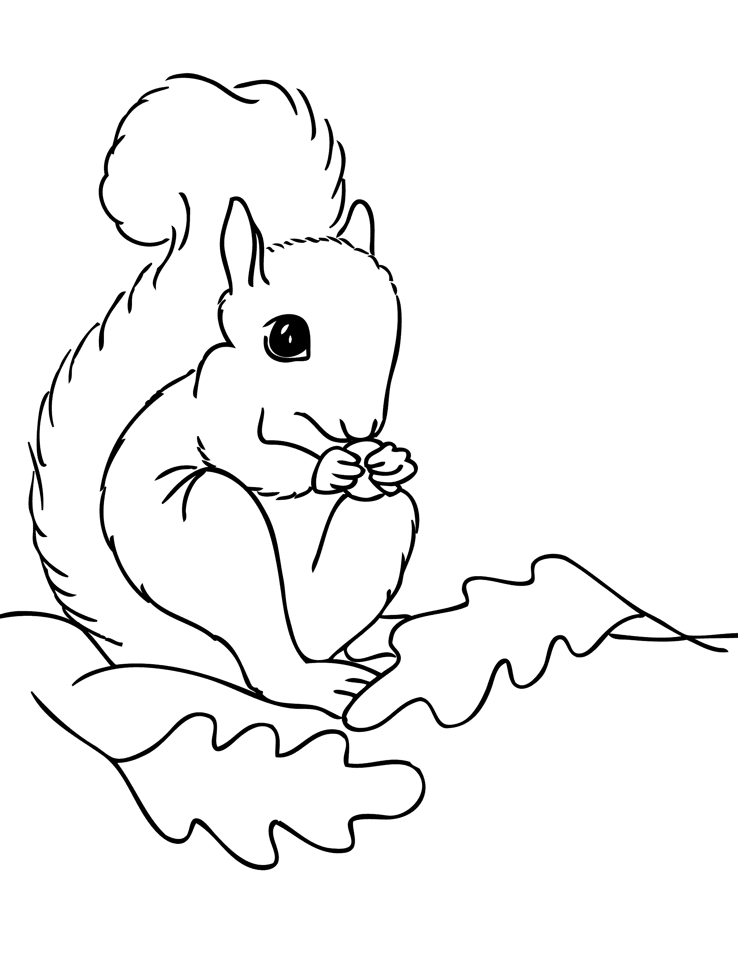 Free Printable Squirrel Coloring Pages For Kids Animal Place