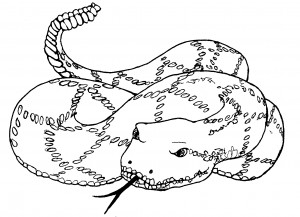 Coloring Pages of Snake – Animal Place