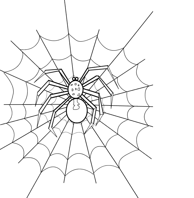 Coloring Pages of Spider Images – Animal Place