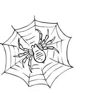 Coloring Pages of Spider Pictures – Animal Place