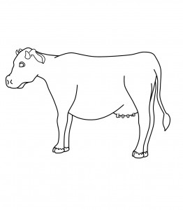 Cow Coloring Page Pictures – Animal Place