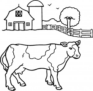 cow coloring pages photos  animal place