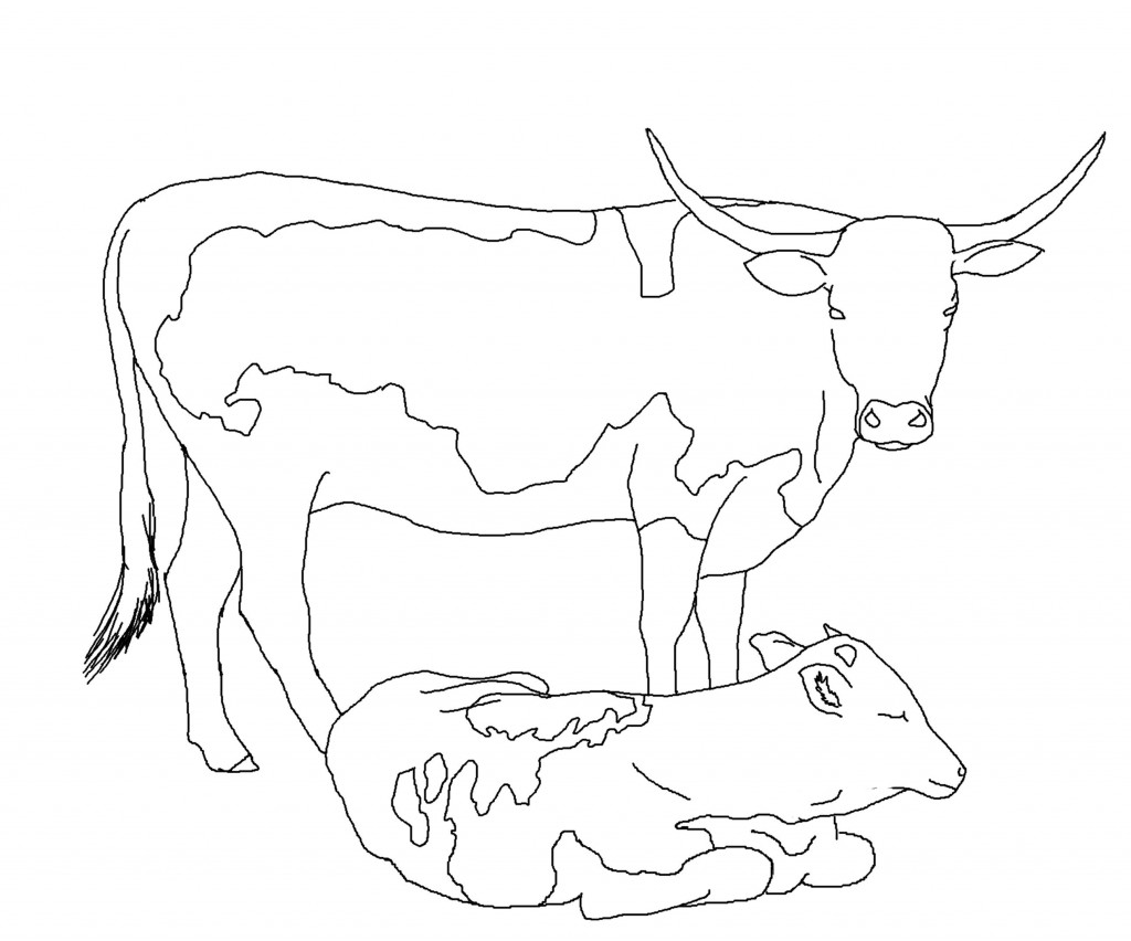 Cow Coloring Pages for Kids Photos – Animal Place