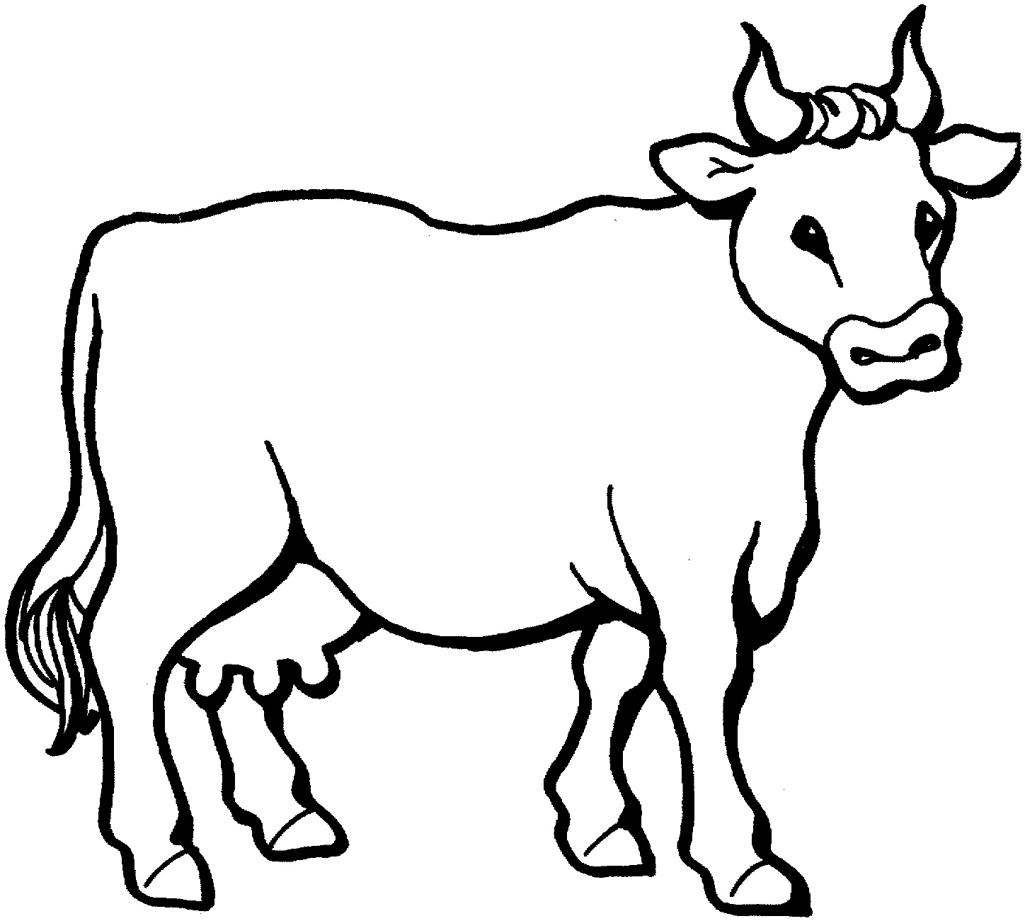 Free Printable Cow Coloring Pages For Kids Animal Place