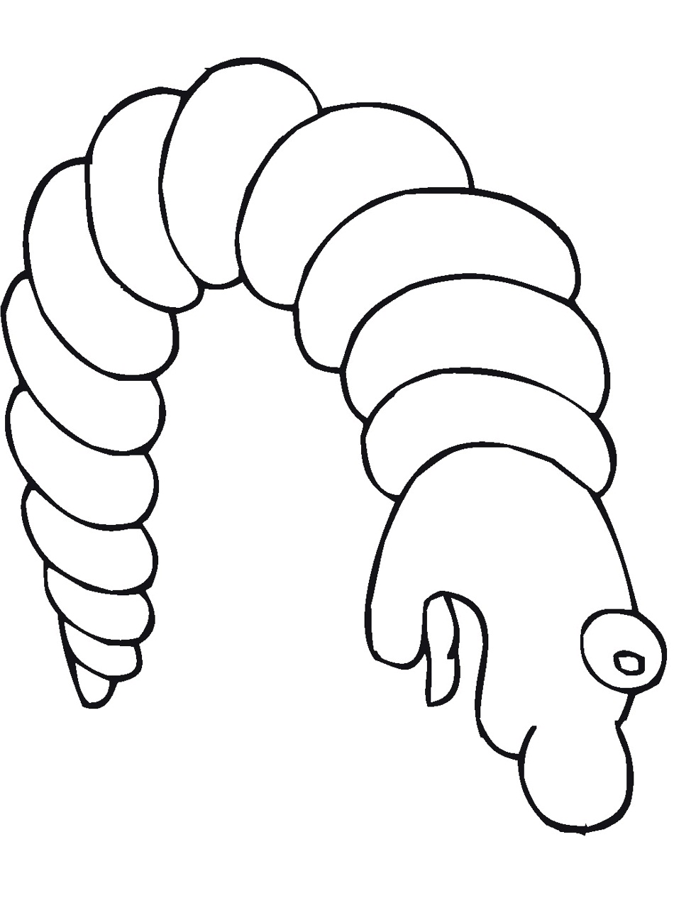 Cute Bug Coloring Pages Picture – Animal Place