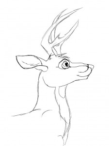 deer coloring pages image  animal place