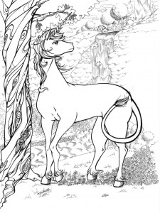 deer coloring pages for kids picture  animal place