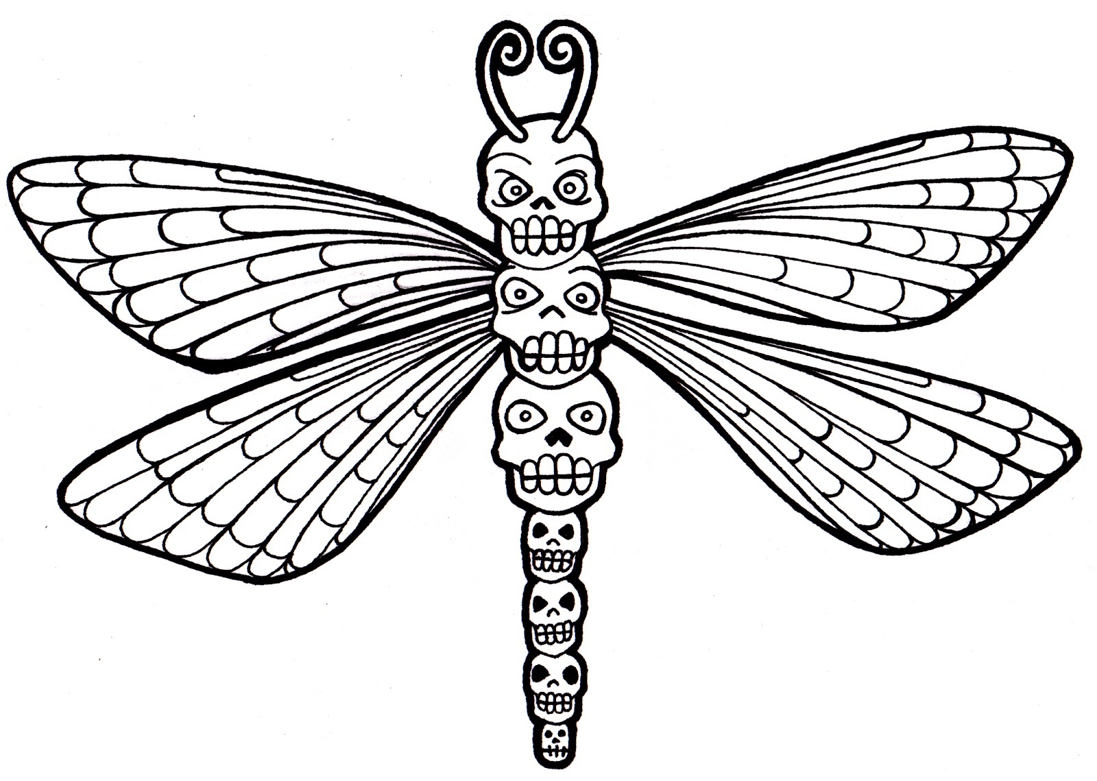 Free Printable Dragonfly Coloring Pages For Kids Animal Place