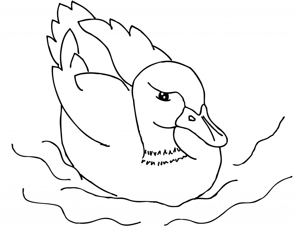 Duck Coloring Pages Photos – Animal Place