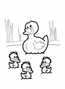 Ducks Coloring Pages – Animal Place