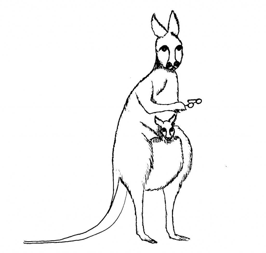 Kangaroo Coloring Page Photos – Animal Place