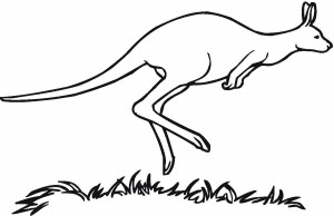 kangaroo coloring pages photos  animal place