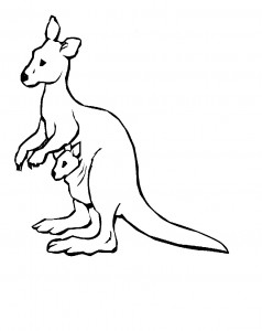 kangaroo coloring pages pictures  animal place