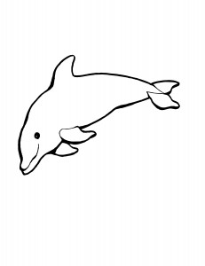 killer whale coloring pages for kids pictures  animal place