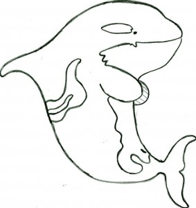 killer whale coloring pages  animal place