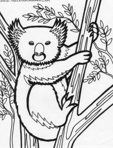 Koala Coloring Pages – Animal Place