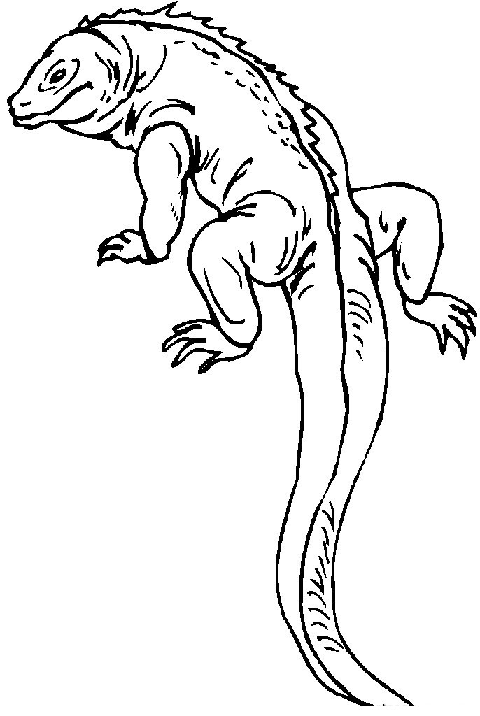 Free Printable Lizard Coloring Pages For Kids Animal Place