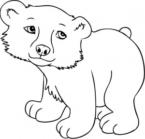 panda coloring page pictures  animal place