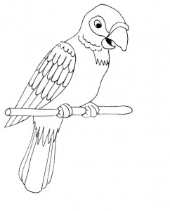 Parrot Coloring Page for Kids Images – Animal Place