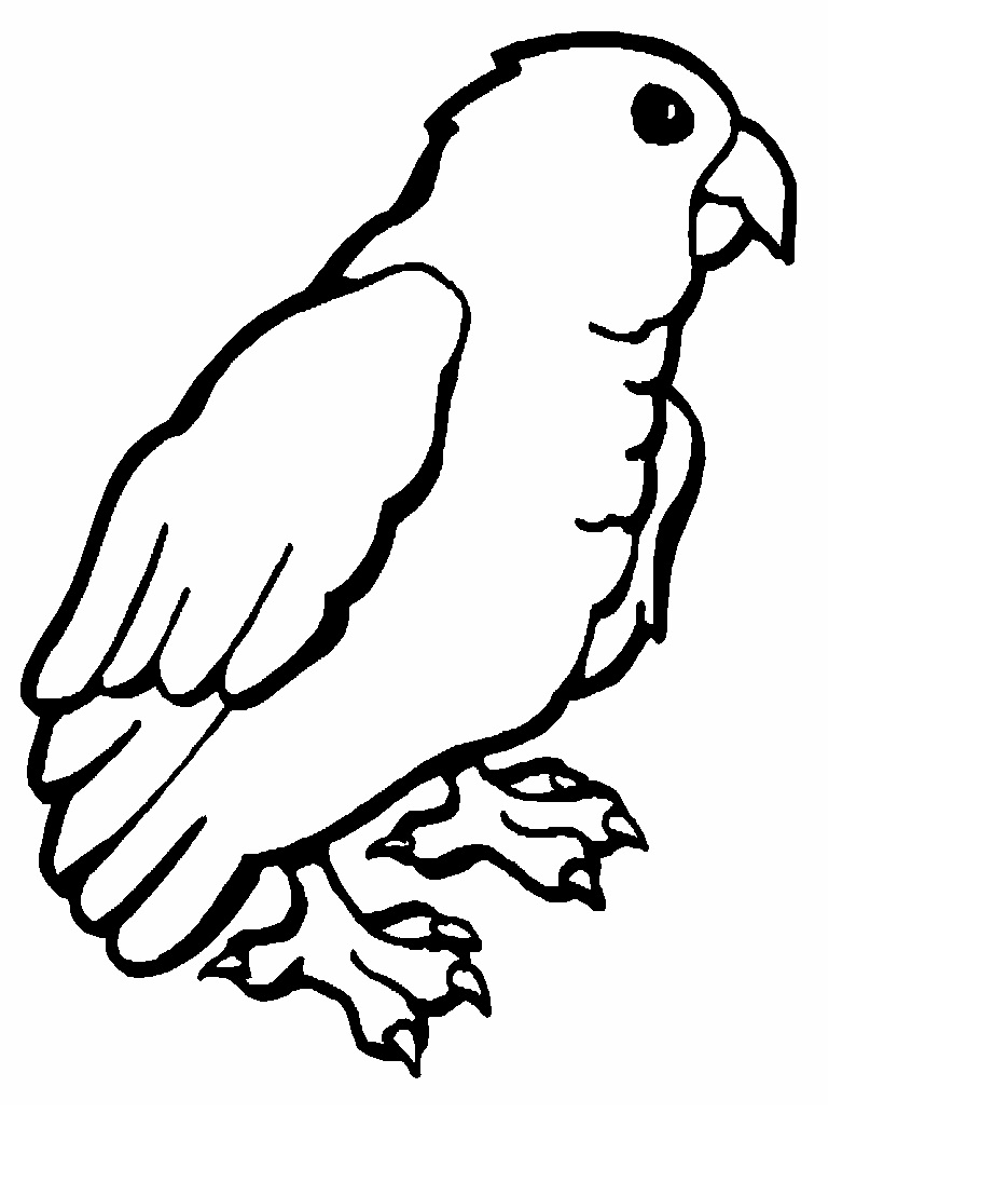 Раскраски с волнистыми попугаями (51 фото)